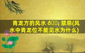 青龙方的风水 🐡 禁忌(风水中青龙位不能见水为什么)